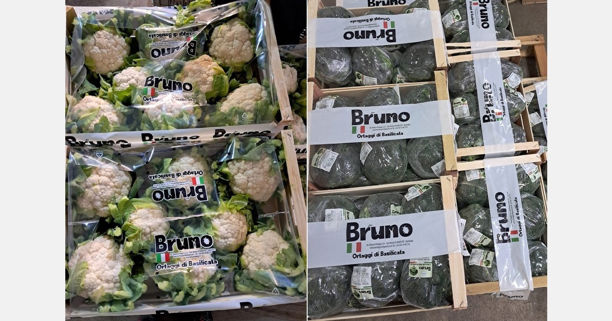 "There is a shortage of brassicas throughout Europe"