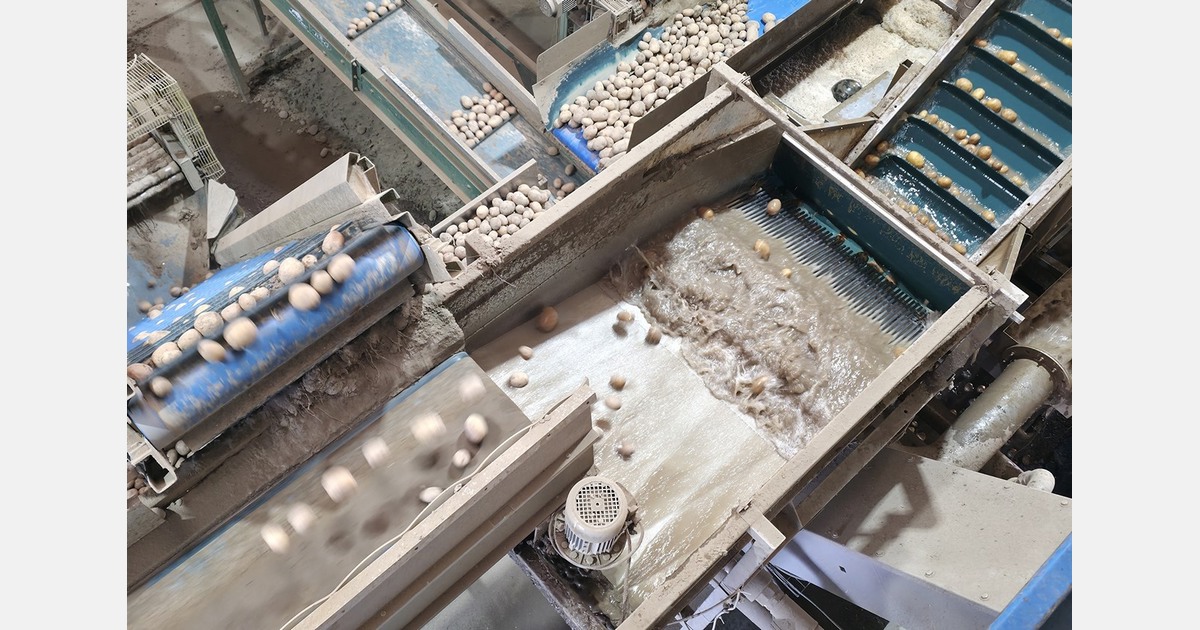 New technology for separating potatoes and carrots from particles