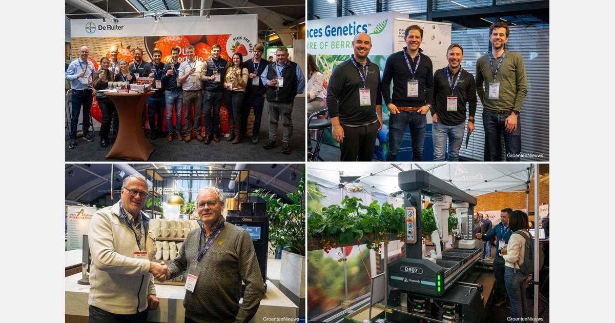 New varieties and plant health key in soft fruit