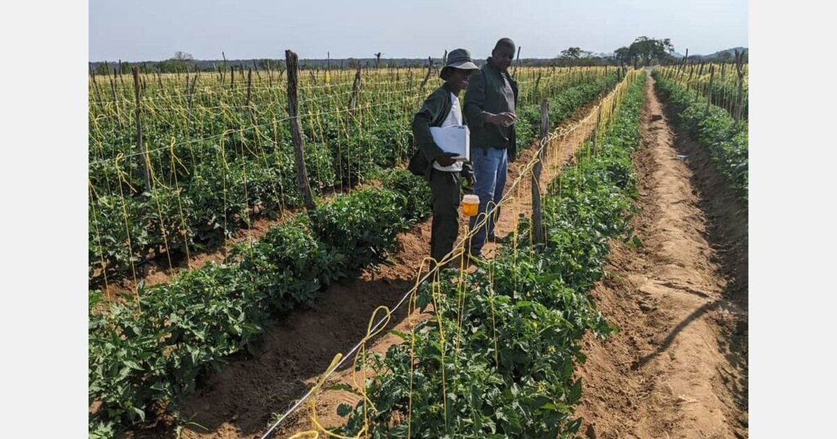 Ebenezer ag training center's a beacon of hope for young growers