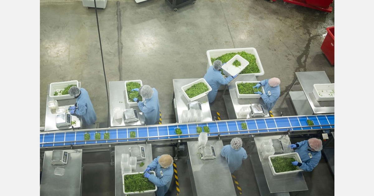 New blend inspired by Canada to hit the market