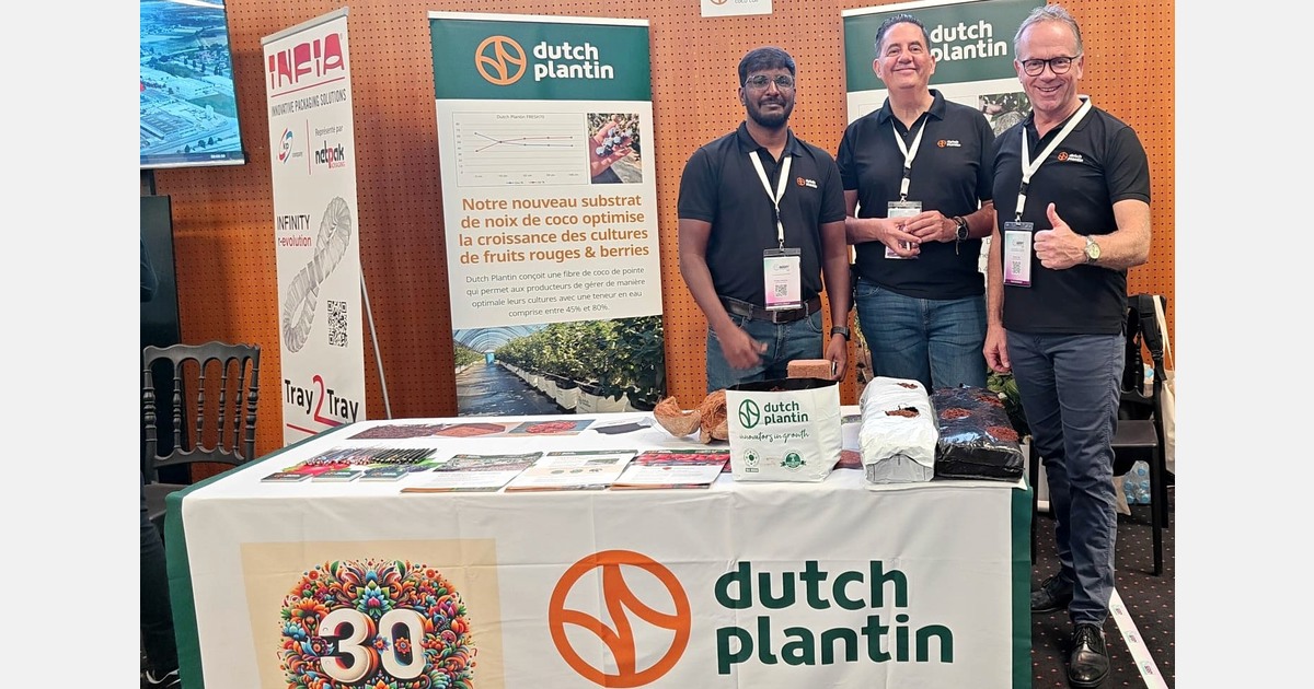 Hydroponic cultivation takes off in Morocco