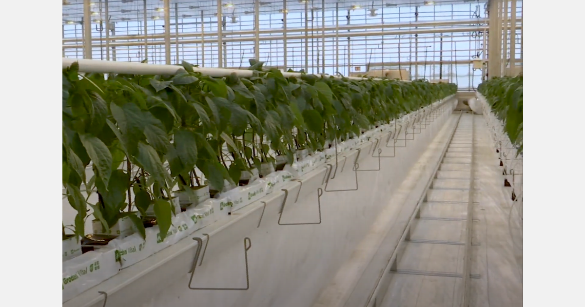 U.S. (ND): MHA Nation celebrates opening of new greenhouse