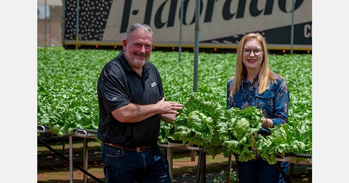 South Africa's largest producer of hydroponic iceberg and specialty lettuce