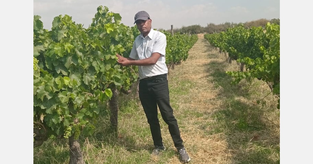 Ethiopia urged to develop Horticulture Resource Atlas to unlock sector growth