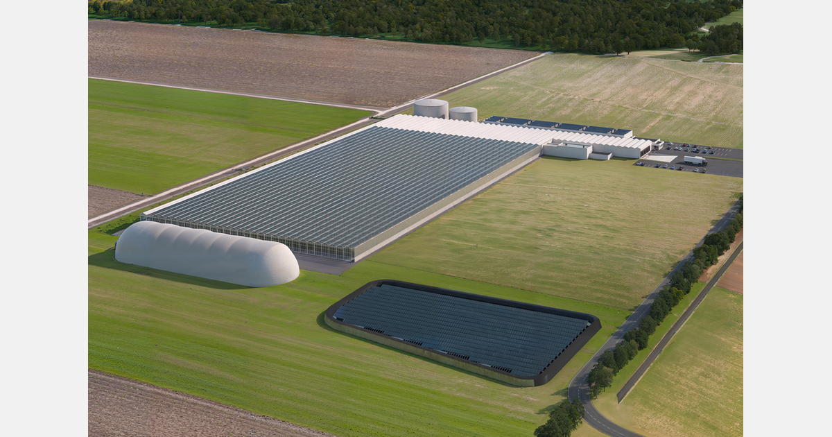 New baby leaf production in Slovenia, the centre of Europe