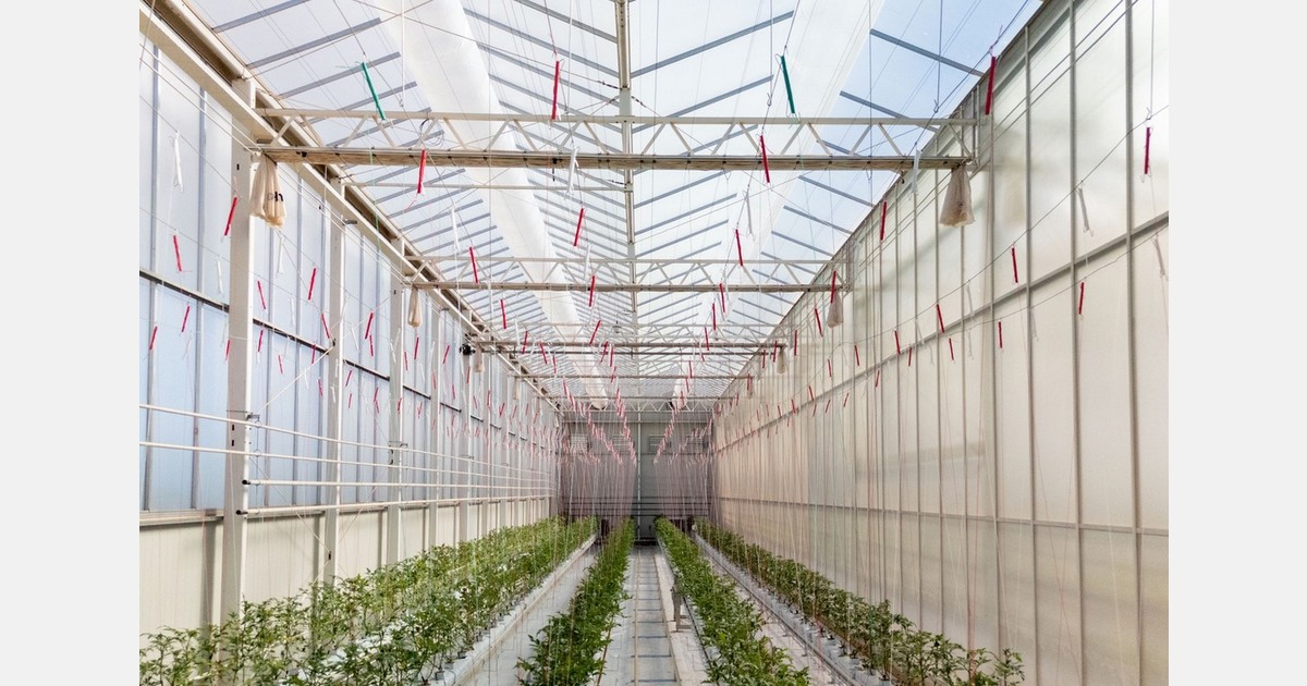 Expressions of interest open for Apex Greenhouses demonstration glasshouse facility