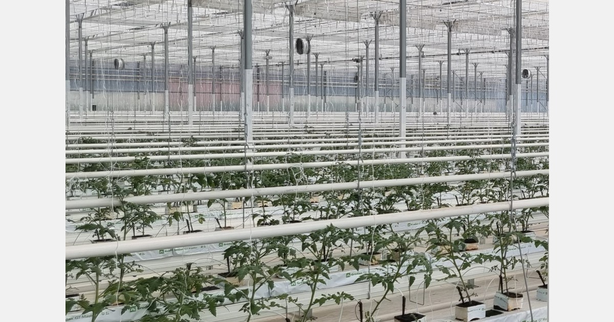 Round table at Macfrut 2026 to address challenges and opportunities in Italian greenhouse cultivation