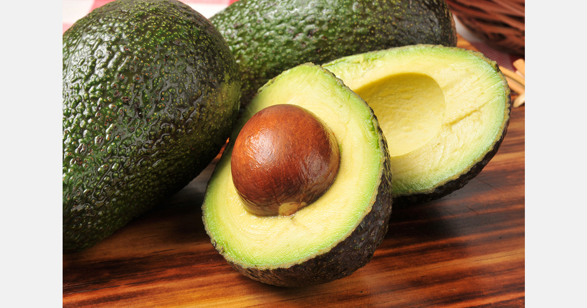 India set to import avocados from Brazil