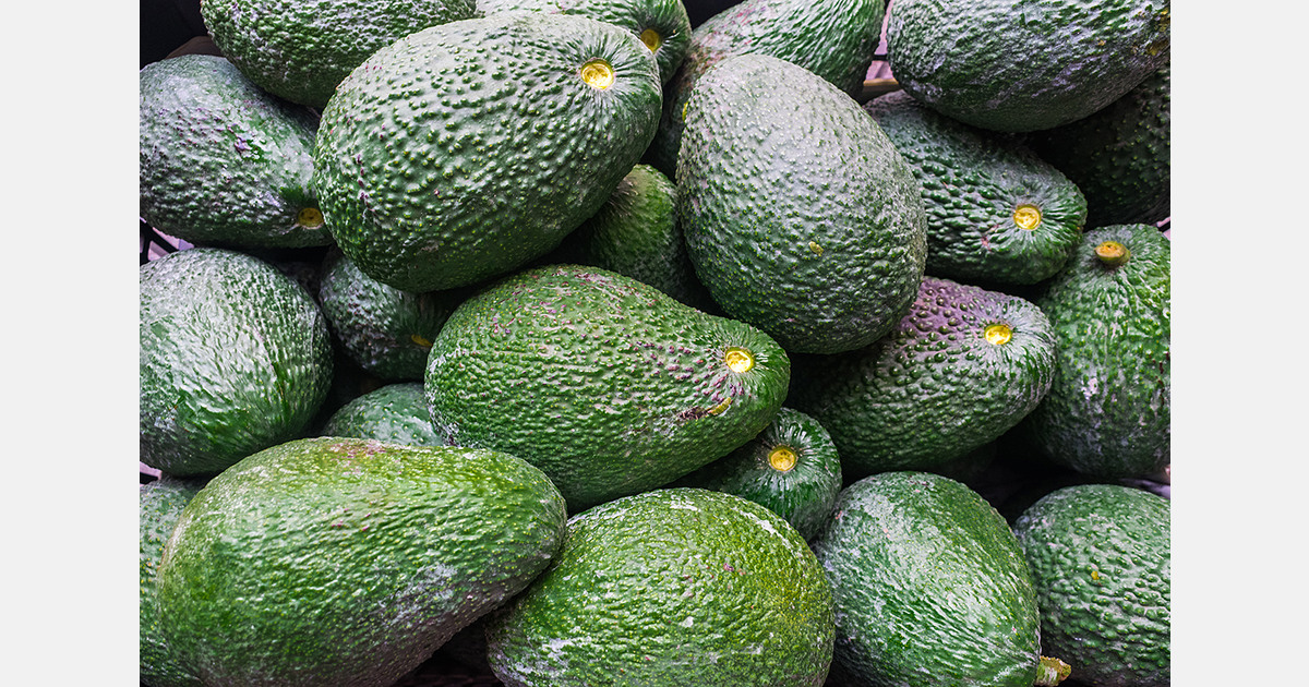 Kenyan fresh produce exports face EU compliance challenges