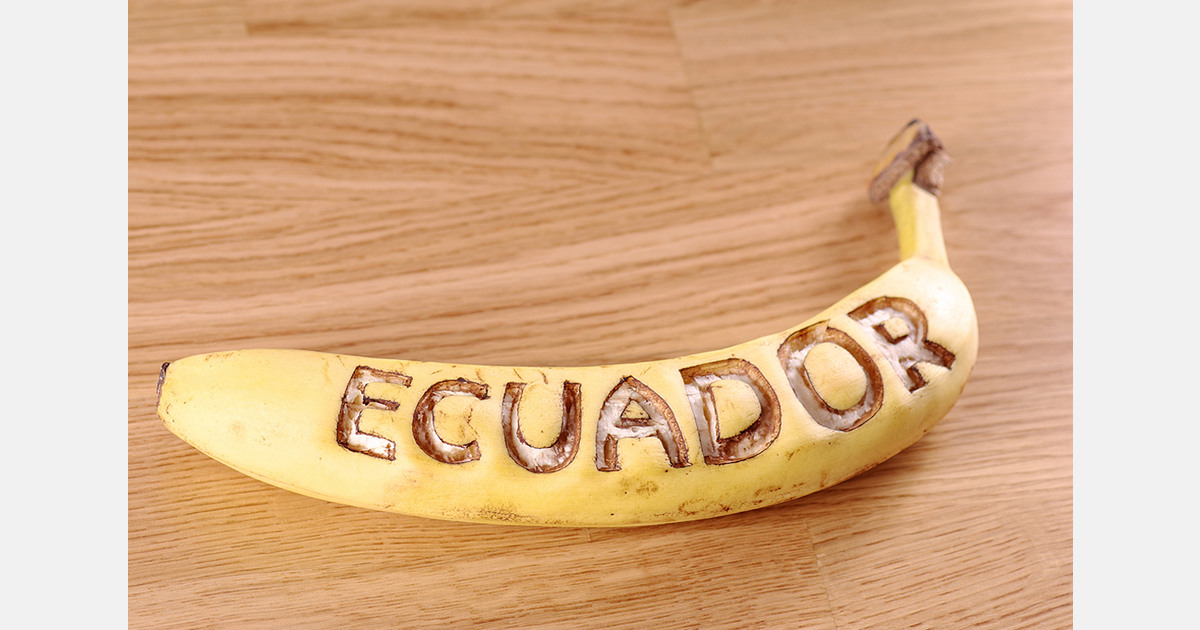 New origin labelling rules for fresh produce in Poland take effect