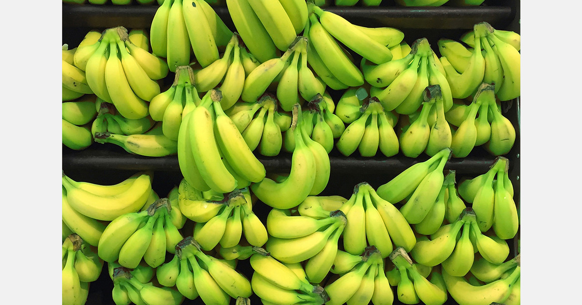 Russia introduces GOST standard for bananas