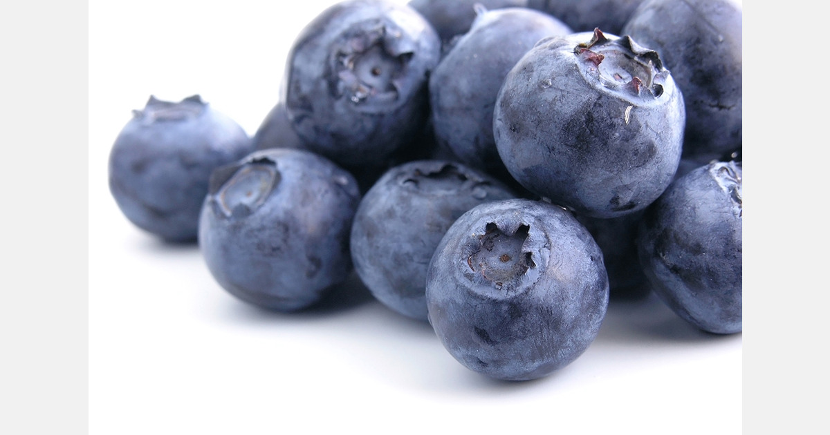 Georgia eyes $200M blueberry exports as production and market access expand