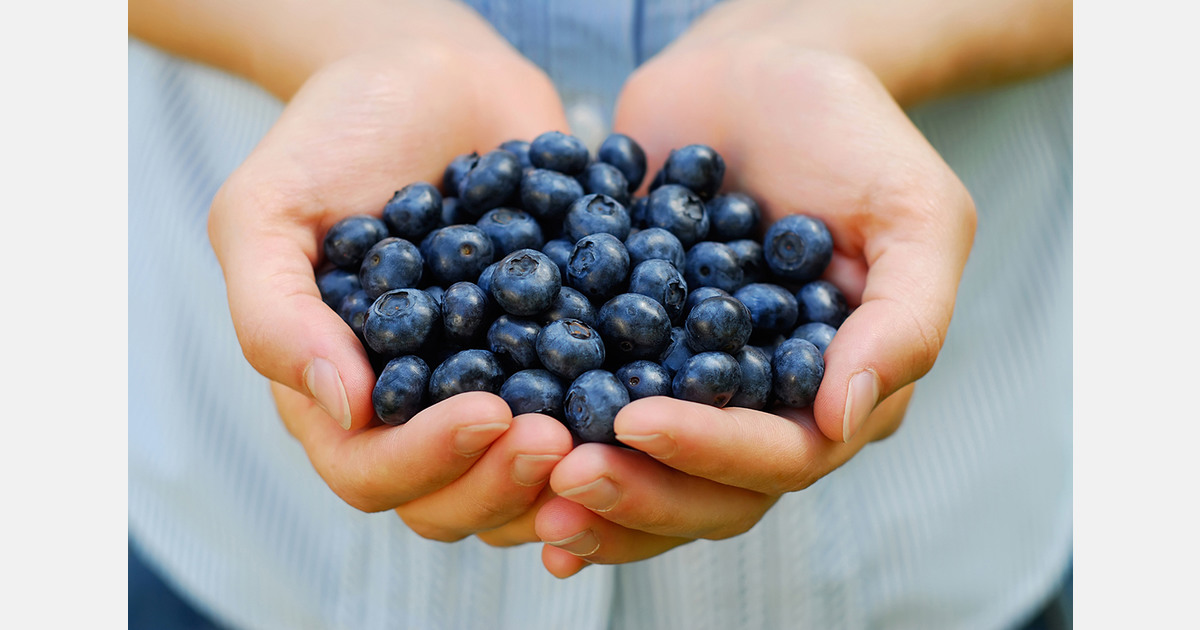 "SaniBlues is the only 100% natural and effective post-harvest solution for blueberries on the market"