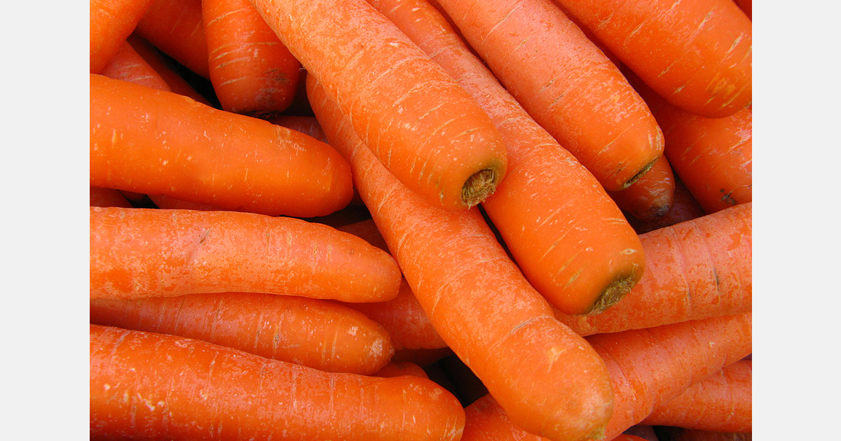 Poland sees carrot prices start to rise amid low base and strong supply