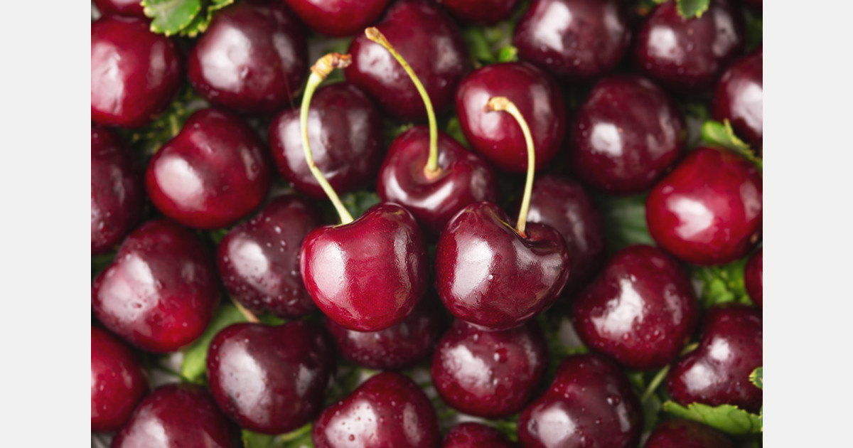 Чили меняет логистику: сливы из региона Мауле отправляются через порт Коронель