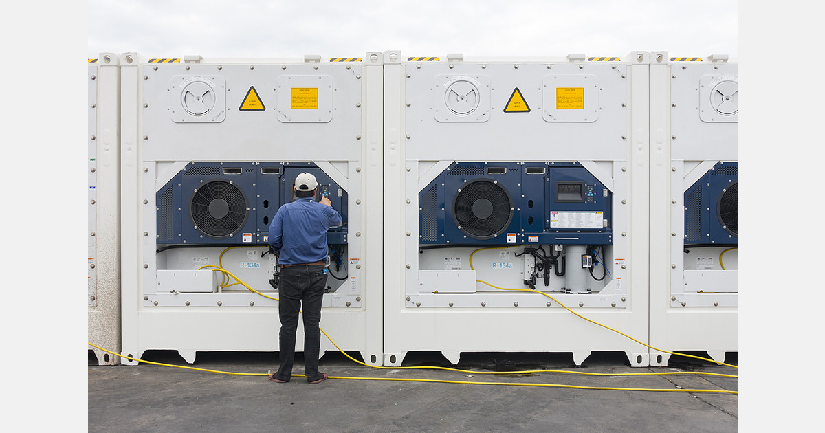 African reefer shortages tighten produce export supply chains