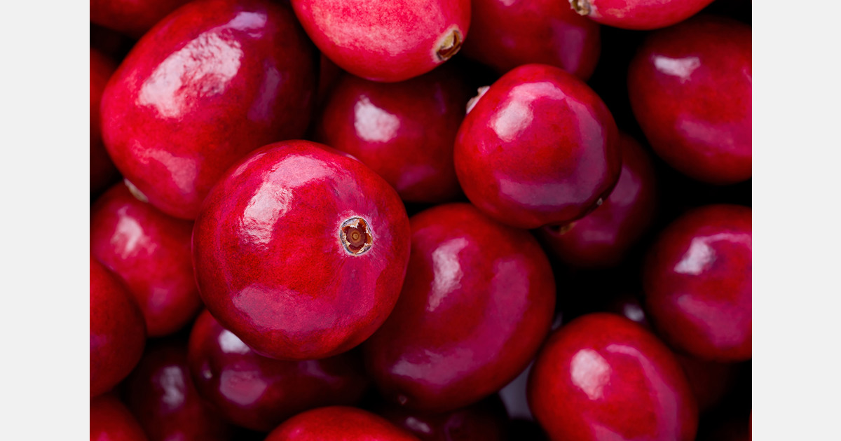 Oregon saw a 17.5% Y-o-Y increase in cranberry harvest in 2023