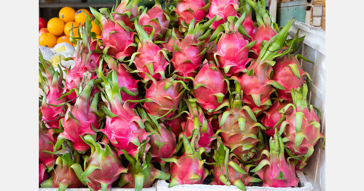 Vietnamese exporters adapt to tighter EU residue limits