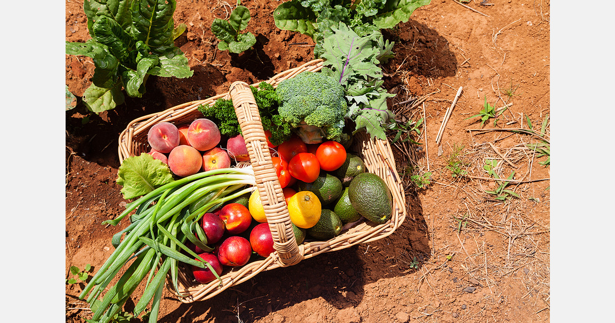 "The organic sector isn't worried about South American products entering Europe"