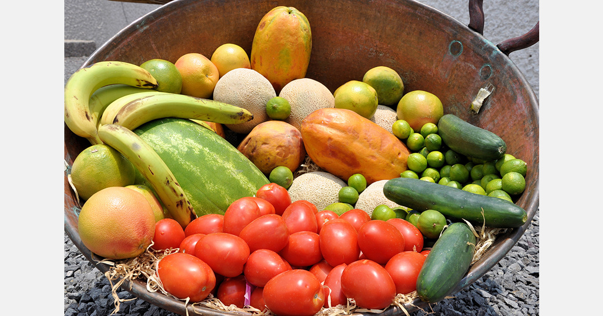 Botswana's horticulture exports lag as imports reach US$90.92 million