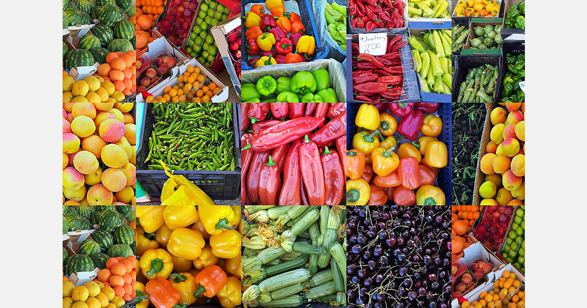 South Africa launches Grootvlei Climate Smart Horticulture Centre