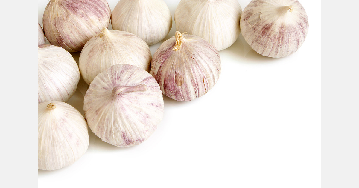 Local varieties, stable economics, and emerging links with Europe