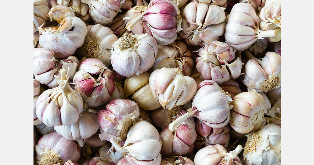 U.S. produce processor secures US$105 million financing