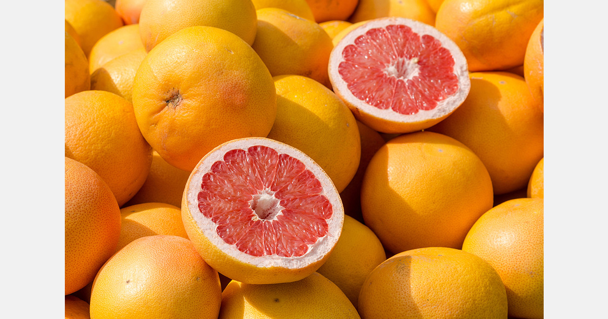 Israeli researchers use CRISPR to reduce grapefruit bitterness