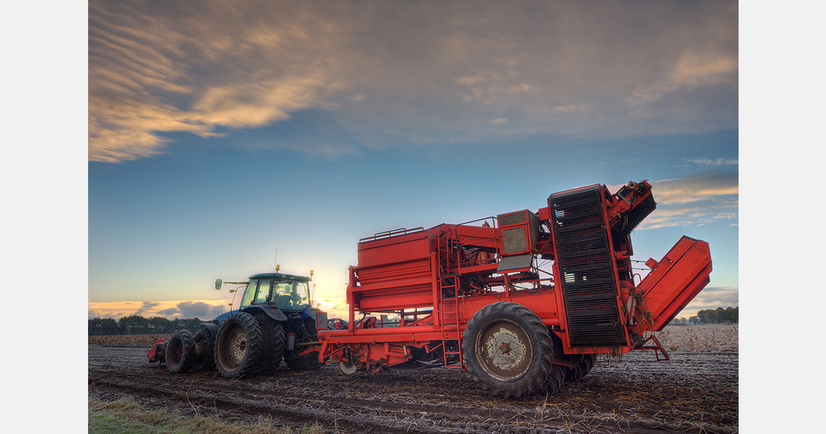 UK growers face rising input costs and margin pressure