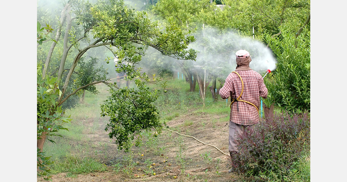 Uganda urged to act on hazardous pesticide use