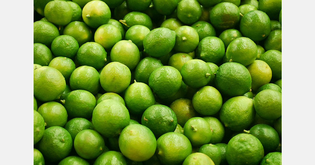 Mexican Army and National Guard continuously monitor the lemon route in Tierra Caliente