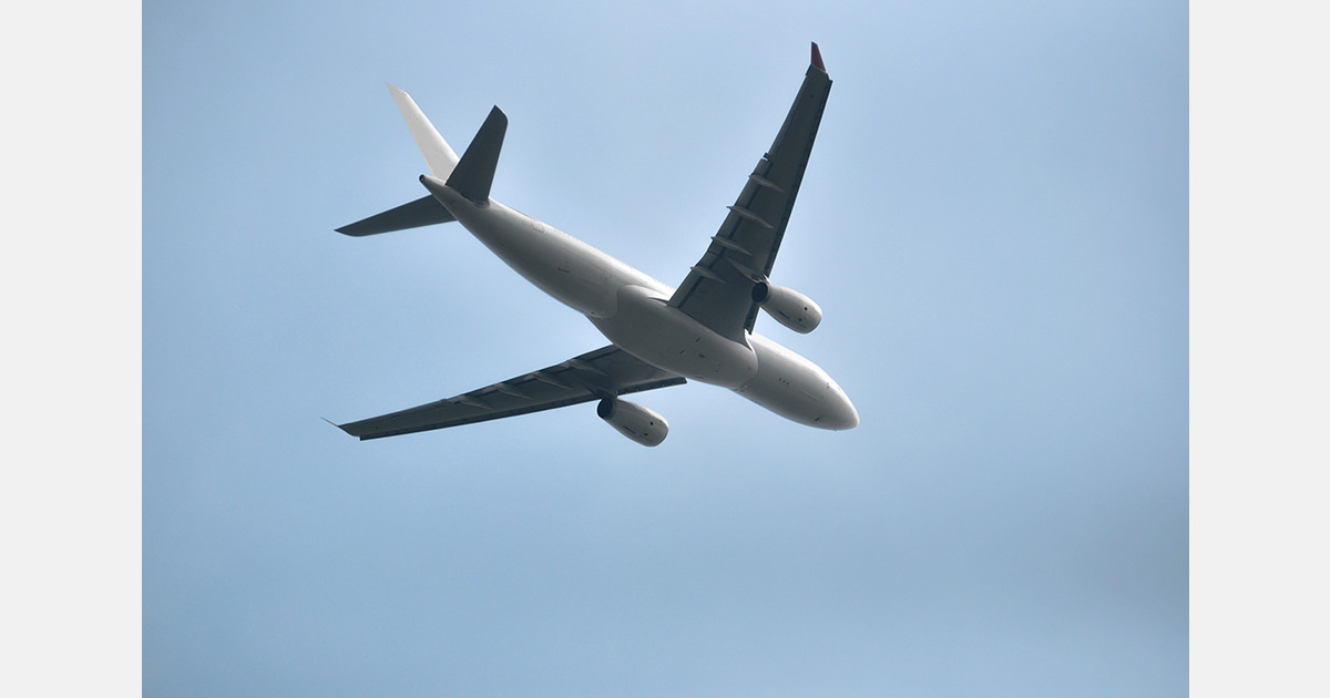 Egypt expands strawberry air freight capacity to Europe