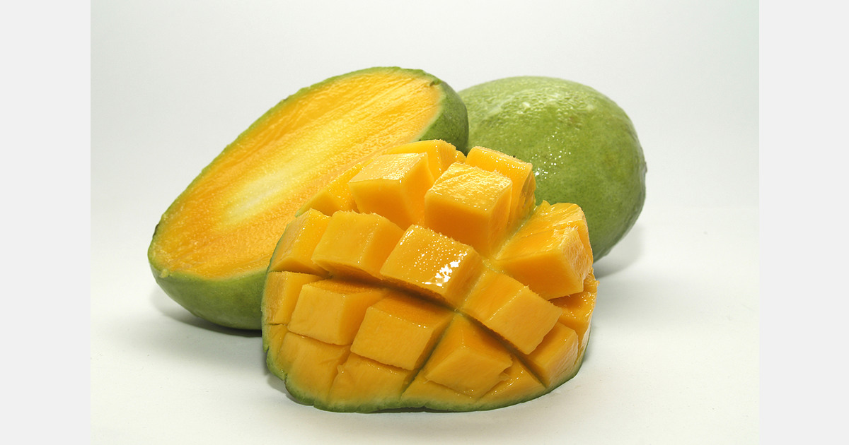 Peru's mango exports face increased international competition