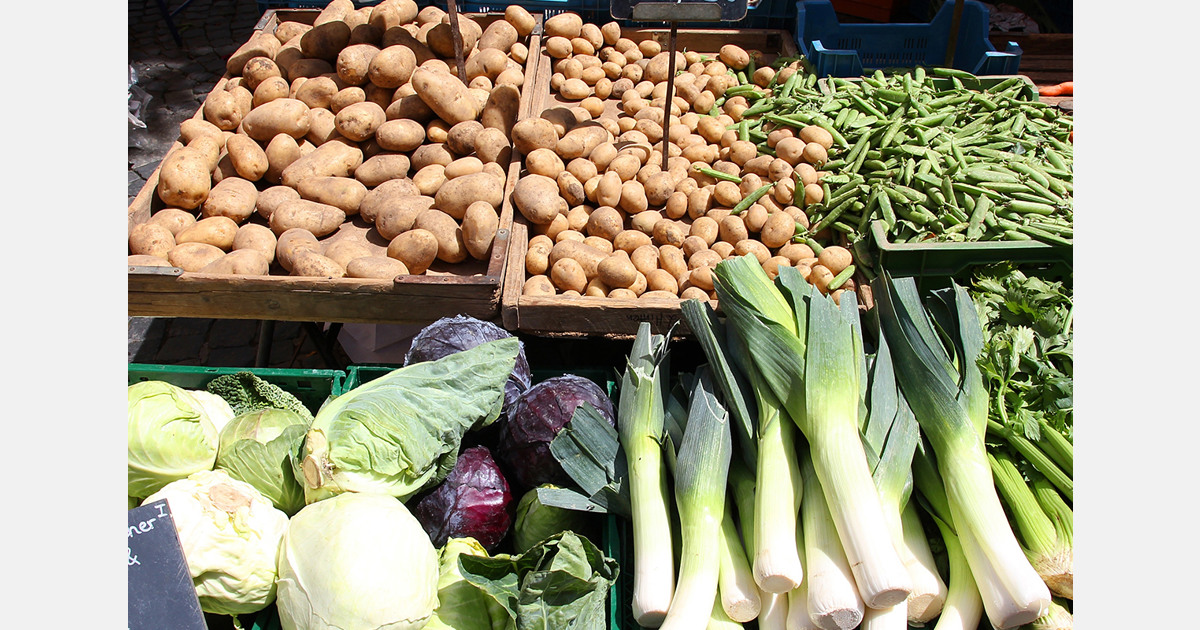 Spanish fruit and vegetable imports grow by 7% in volume and 10% in value