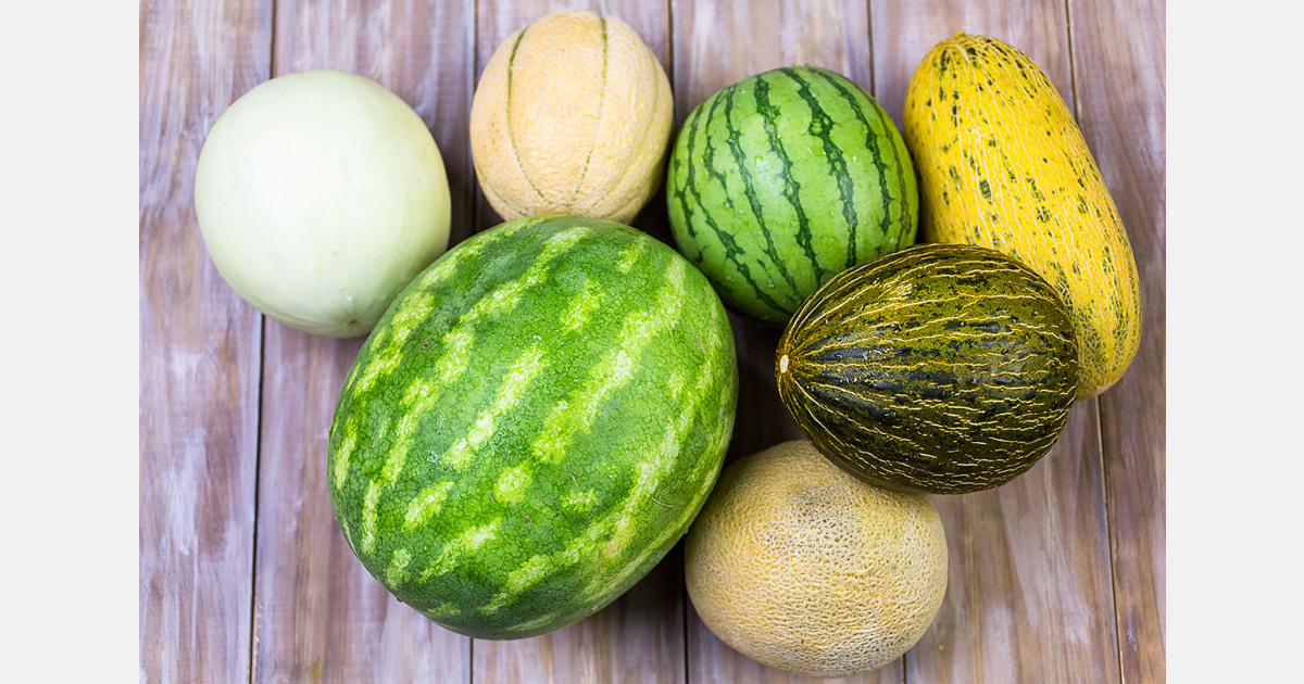 Brazil invests US$15.84 million to resume melon and watermelon exports