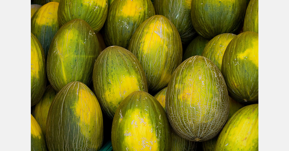 Spain remains the EU's leading melon supplier