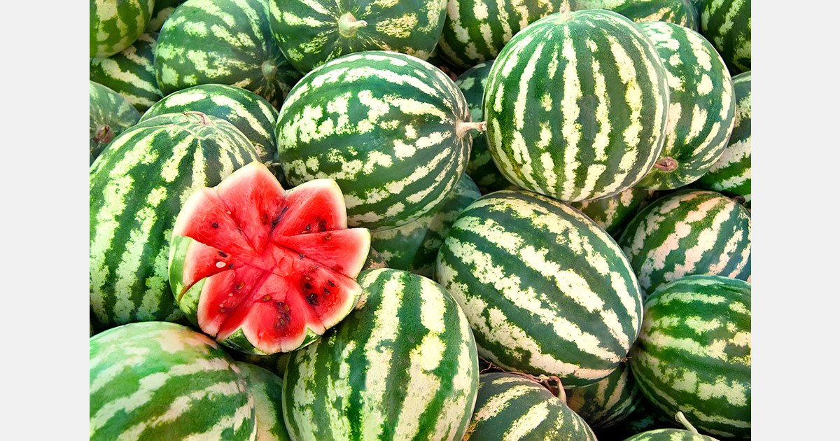 Watermelon prices take a dip in New Zealand