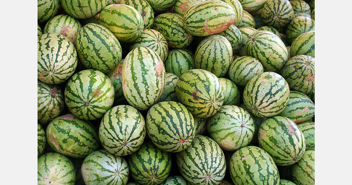 Watermelon prices remain high in Bangladesh despite ample supply