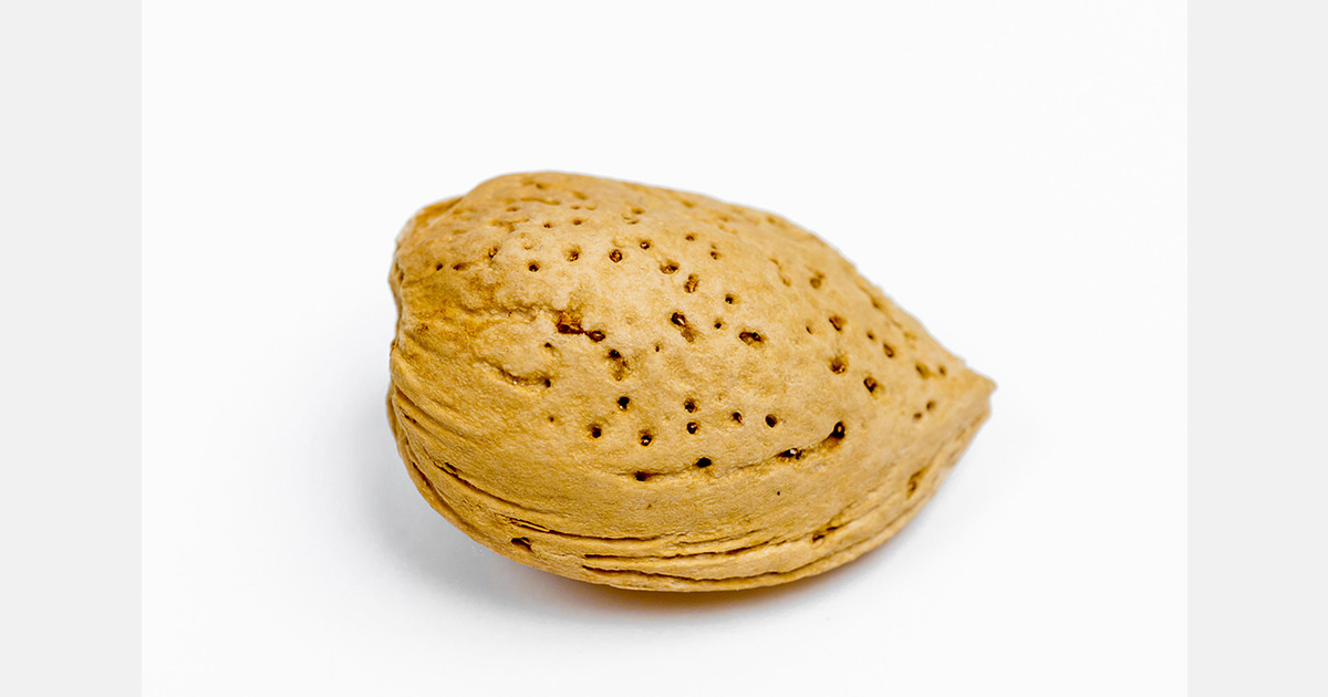 Spain forecasts record-breaking almond in-shell production