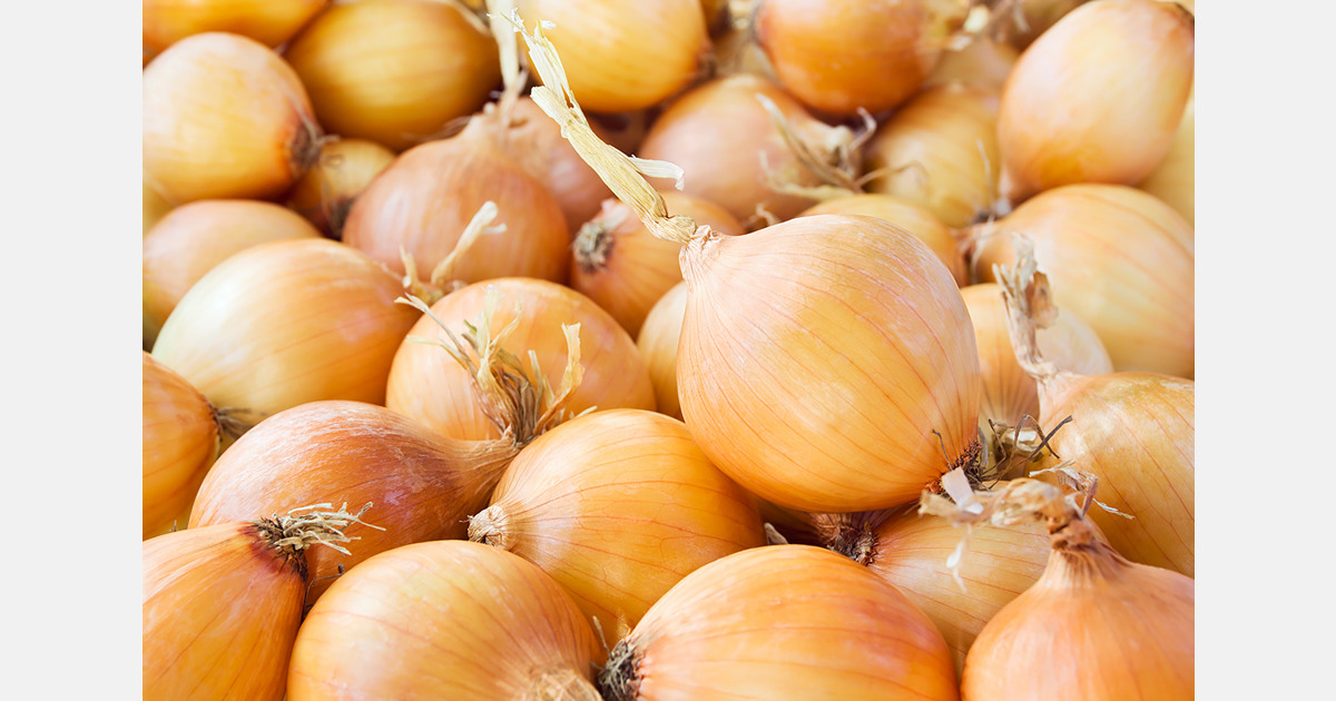 Ukrainian onion prices fall 68 percent year on year
