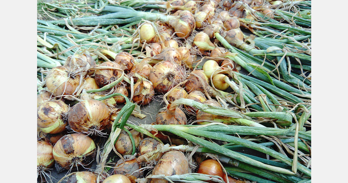 Ukraine reports 1 million ton storage shortfall