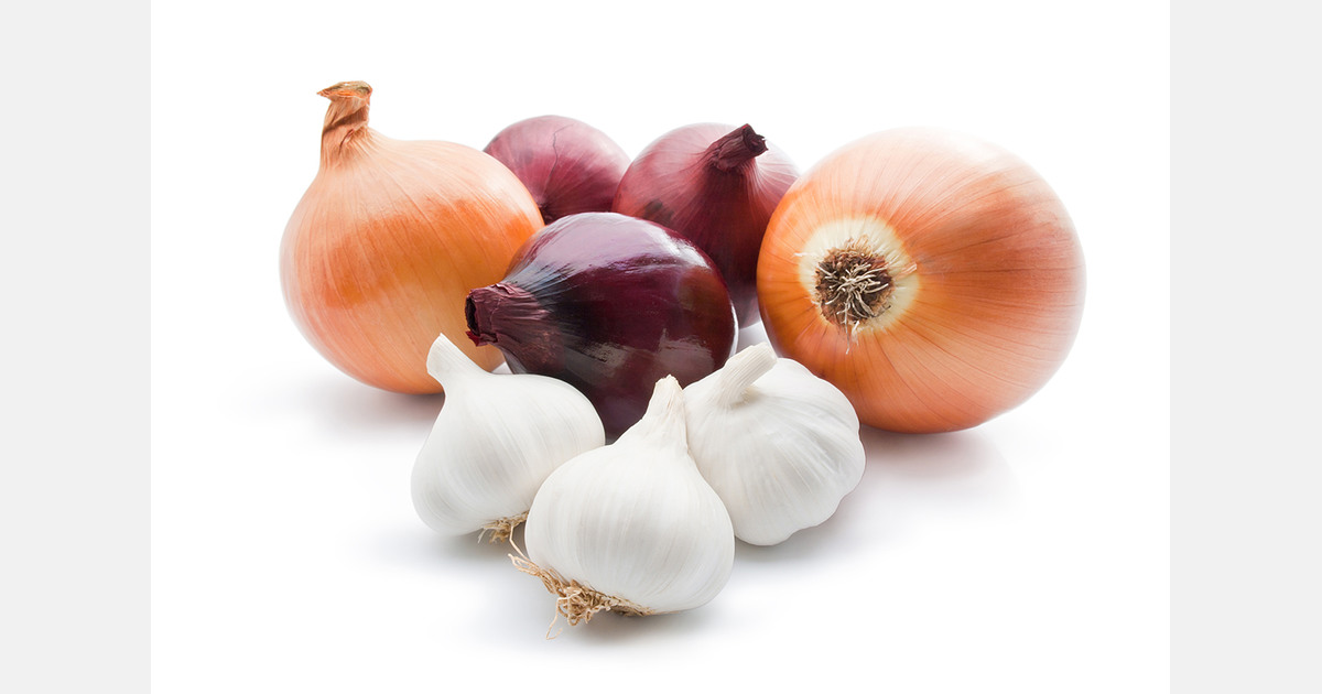 Kyrgyzstan’s onion exports drop sharply, while cucumber imports continue to rise