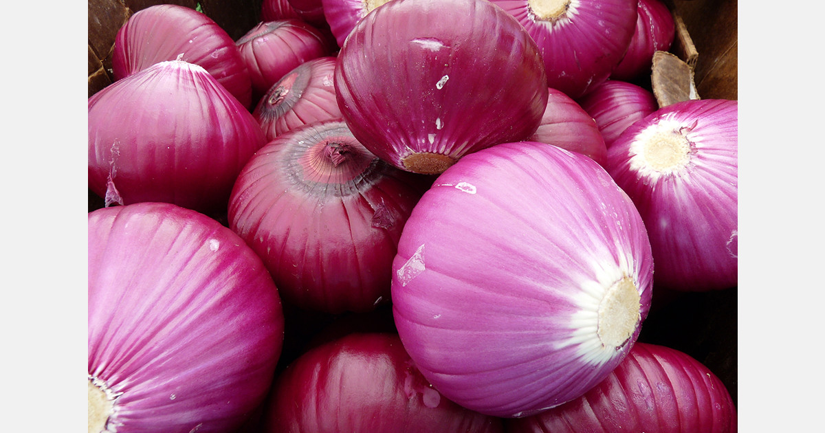 Philippines expects red onion prices to ease as imports rise