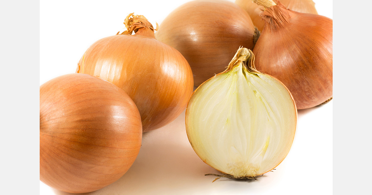Spanish onions are increasingly popular in Morocco because of their low prices