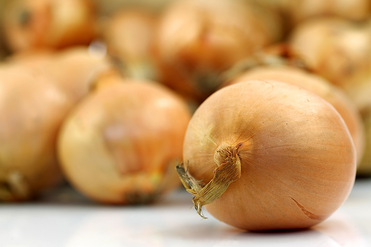 30 increase in volumes and low demand in Europe cause Spanish onion prices to plummet