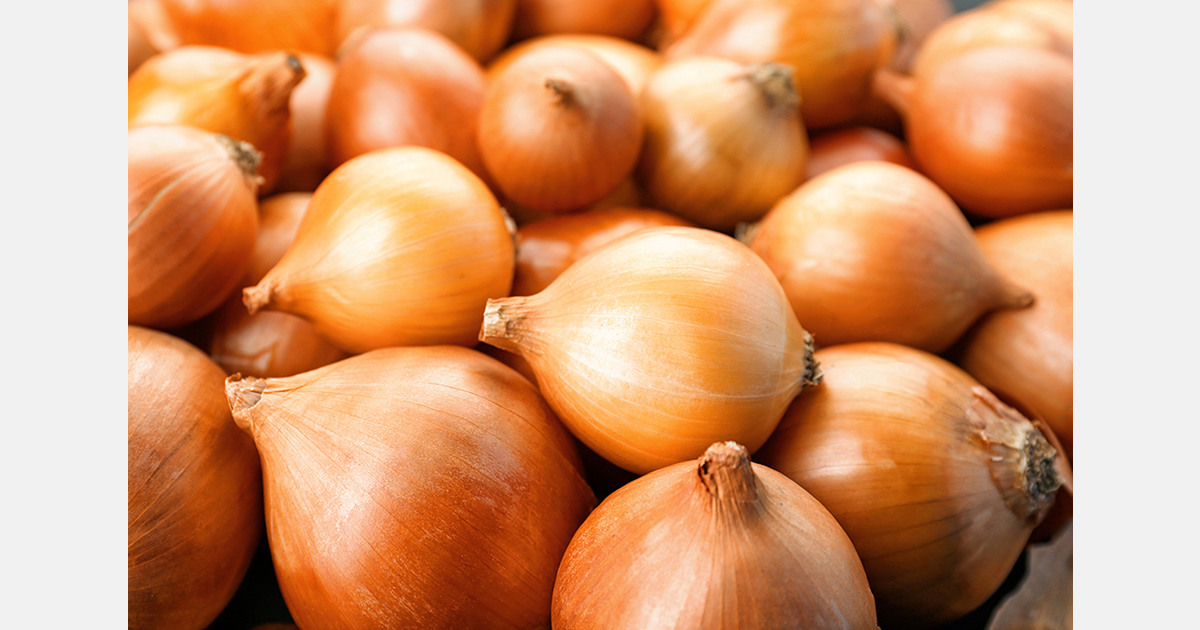 Onion prices in Ukraine drop due to increased supply and lower demand