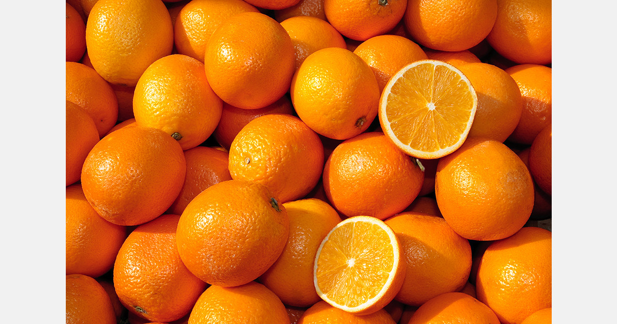 European Commission cuts inspection rate for Egyptian citrus
