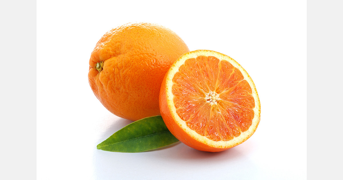 The Andalusian citrus fruit industry analyzes a brief, challenging season with stagnant consumption