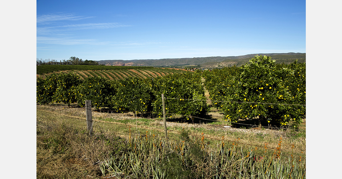 Brazil hosts some of world’s largest fruit farms